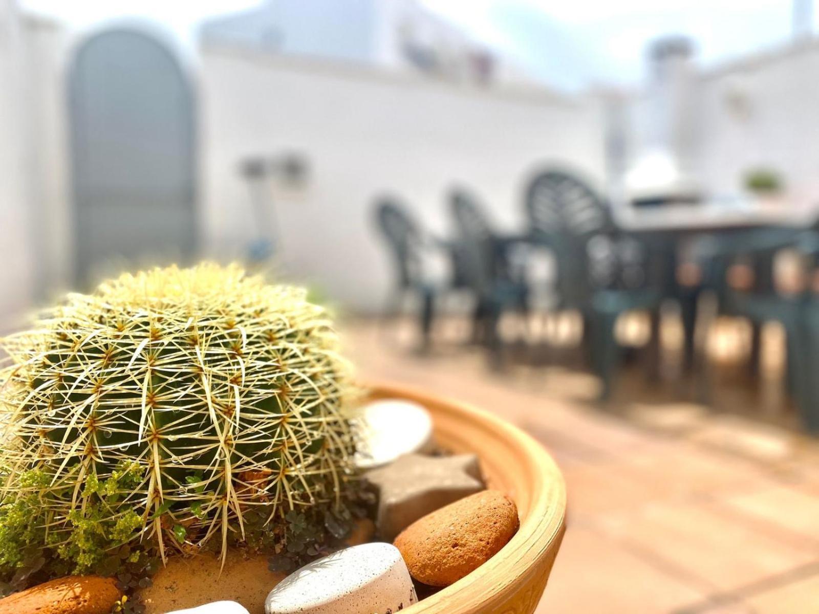 Casa Cony Villa Tarifa Dış mekan fotoğraf